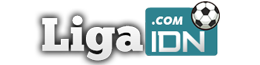 logo LIGAIDN
